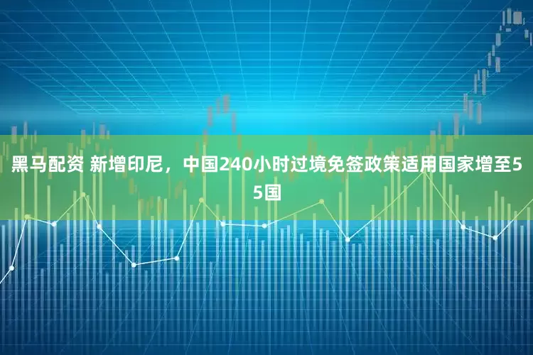 黑马配资 新增印尼，中国240小时过境免签政策适用国家增至55国