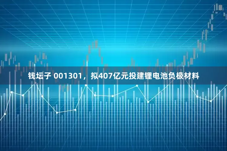 钱坛子 001301，拟407亿元投建锂电池负极材料